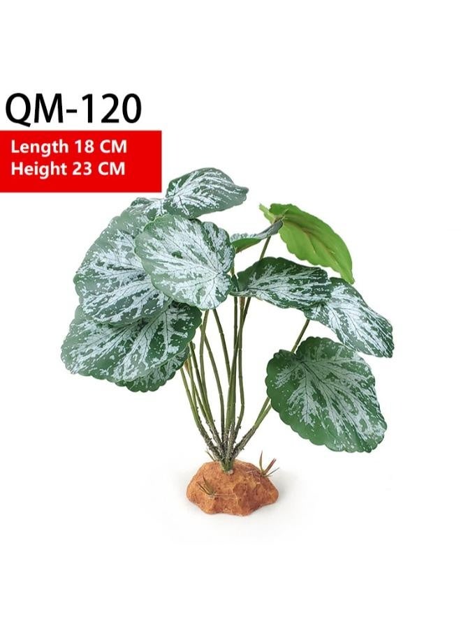 نباتات أحواض السمك، زينة أحواض السمك، أسماك الزينة، أحواض مائية، مخابئ للأسماك - (11 نوعًا) - Image 3